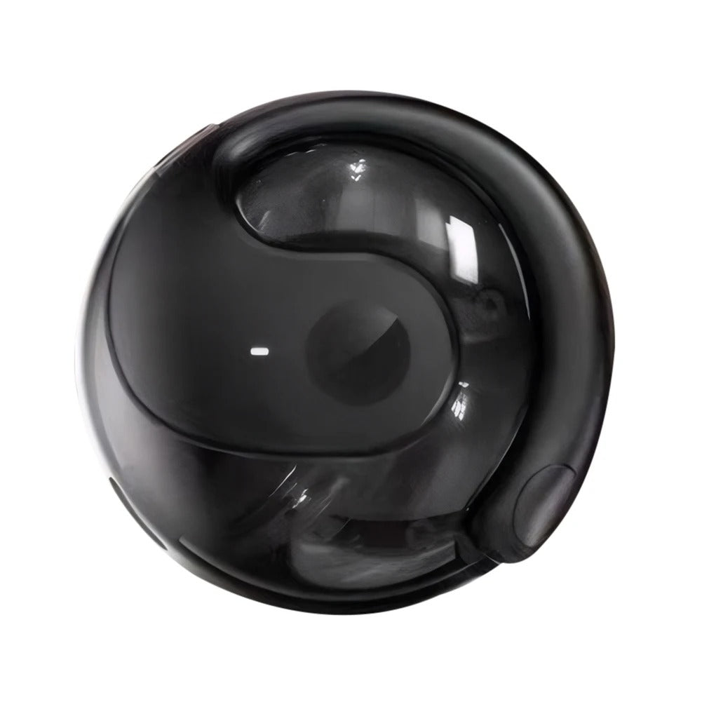 EchoLingua™- X15 EARPODS - - Ecouteurs de traduction