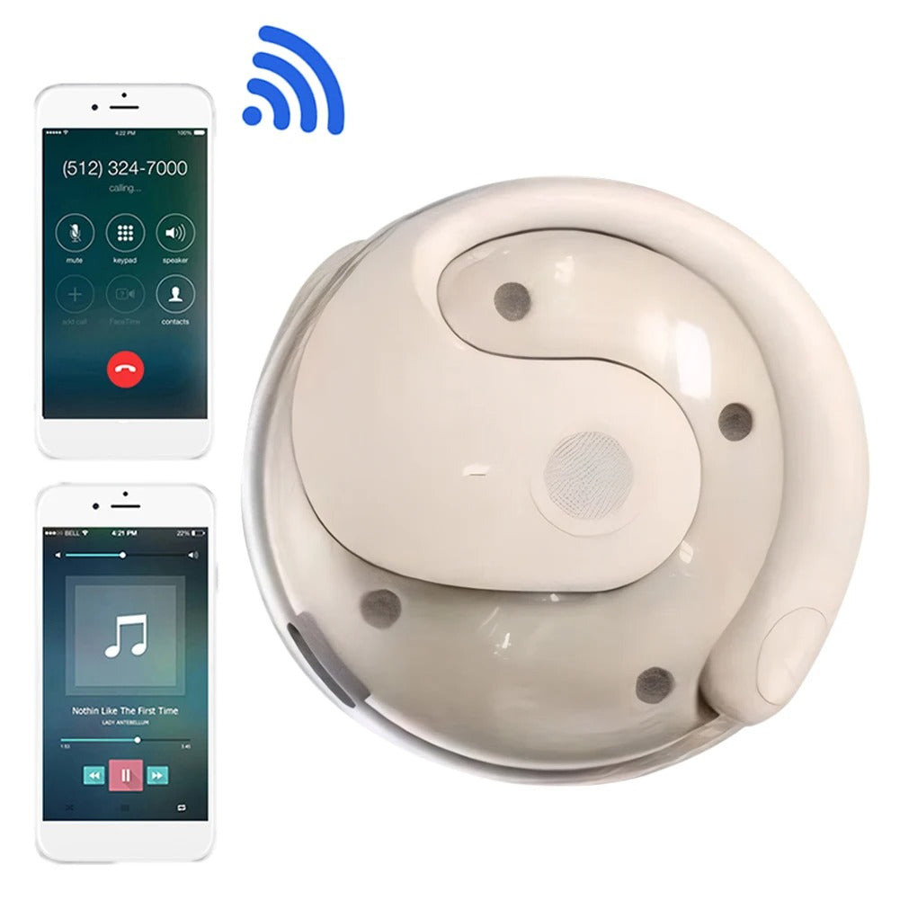EchoLingua™- X15 EARPODS - - Ecouteurs de traduction