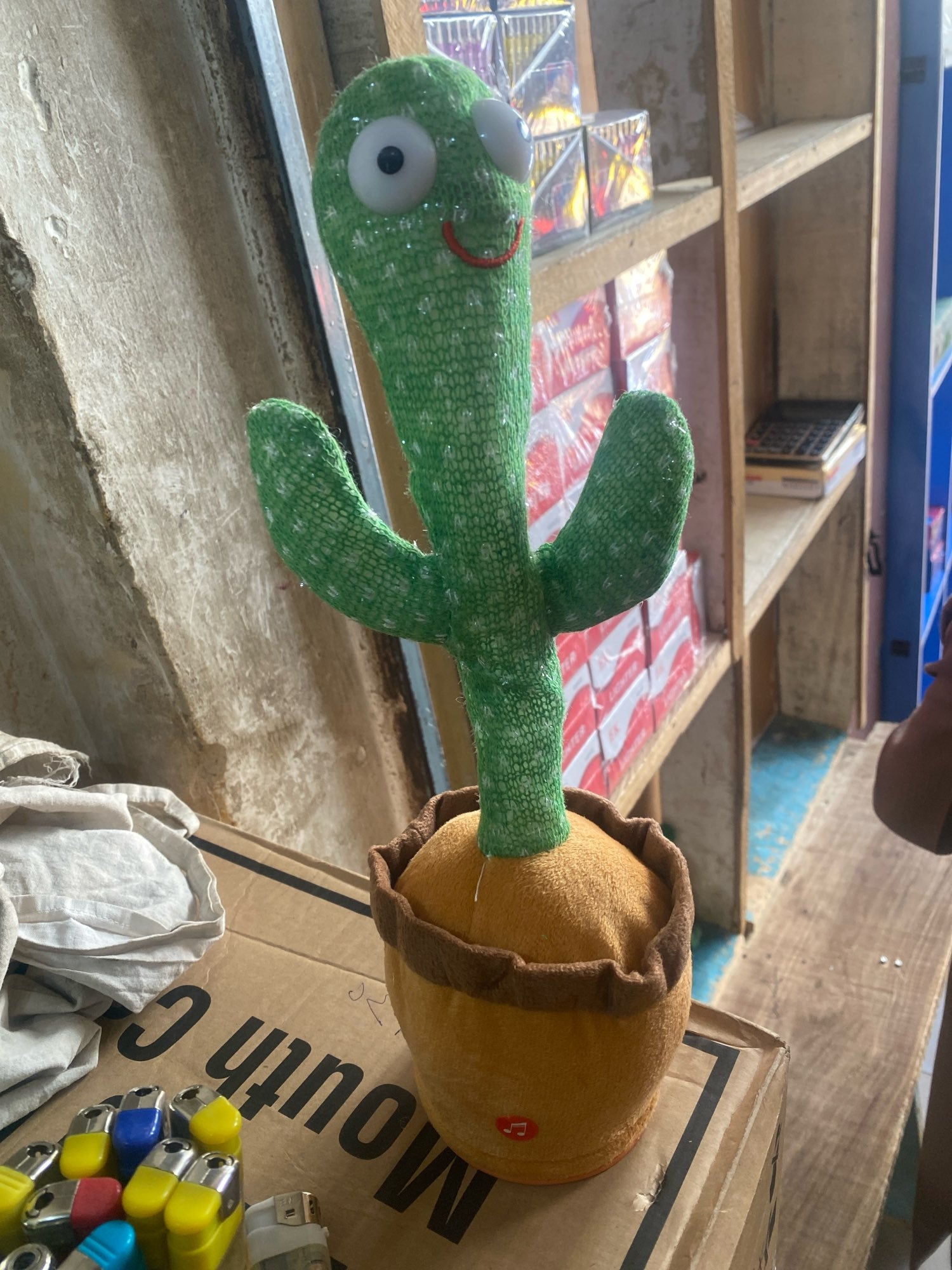 CACTUS DANSANT ™ | Le compagnon de jeu idéal pour les enfants