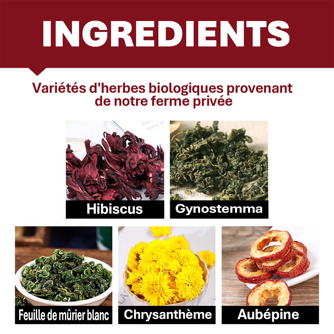 Traitement efficace à base de plantes naturelles contre les maladies cardio-vasculaires.